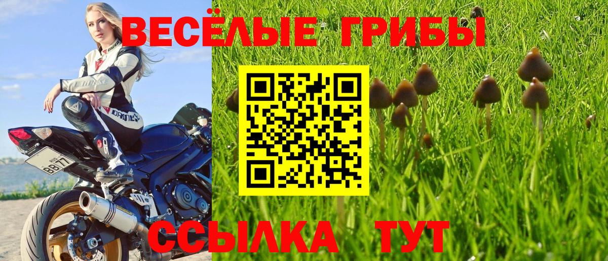 Галлюциногенные грибы GOLDEN TEACHER  Галлюциногенные грибы мицелий  Альметьевск  Вход с VPN 